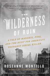 The Wilderness of Ruin