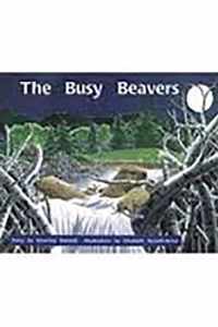 The Busy Beavers