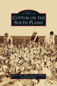 Cotton on the South Plains