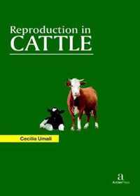 Reproduction in Cattle