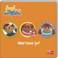 Wat hoor je?