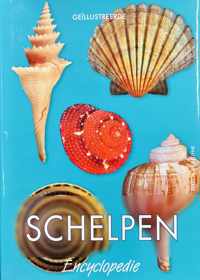 Schelpen encyclopedie