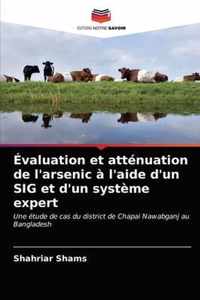 Evaluation et attenuation de l'arsenic a l'aide d'un SIG et d'un systeme expert