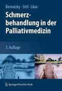 Schmerzbehandlung in der Palliativmedizin