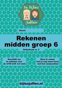 Oefenboek - CITO - rekenen - midden groep 6 - deel 2 - basisonderwijs - de bijlesjuffen - oefenen - citotoets - LVS - kinderen - boeken - leren - school - Einstein - Werkboek van meer dan 100 leuke en leerzame opdrachten!