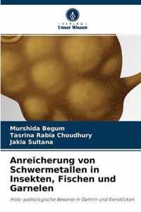 Anreicherung von Schwermetallen in Insekten, Fischen und Garnelen