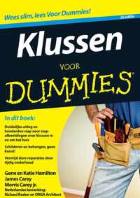 Voor Dummies - Klussen