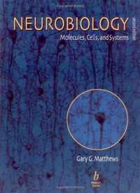 Neurobiology