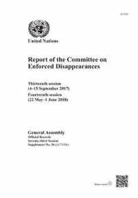 Report of the Committee on the Enforced Disappearances