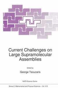 Current Challenges on Large Supramolecular Assemblies