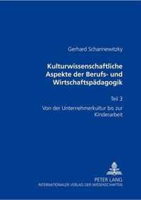 Kulturwissenschaftliche Aspekte Der Berufs- Und Wirtschaftspaedagogik