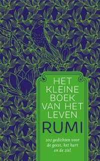 Patroon - Het kleine boek van het leven