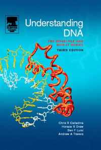 Understanding DNA