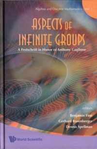 Aspects Of Infinite Groups