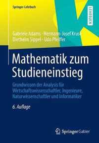 Mathematik Zum Studieneinstieg