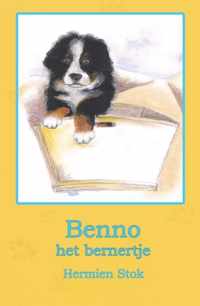 Benno de Berner Sennenhond 1 -   Benno het bernertje