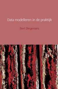 Data modelleren in de praktijk