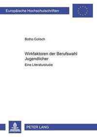 Wirkfaktoren Der Berufswahl Jugendlicher