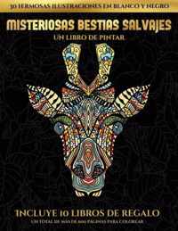 Un libro de pintar (Misteriosas bestias salvajes)