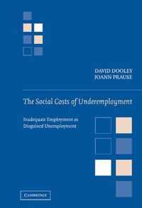 The Social Costs of Underemployment