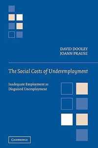 The Social Costs of Underemployment