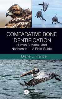 Comparative Bone Identification