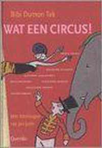 Wat Een Circus!