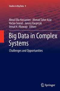 Big Data in Complex Systems