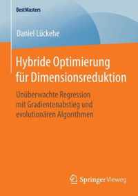 Hybride Optimierung fuer Dimensionsreduktion