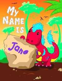 My Name is Jane