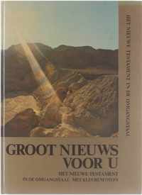 Groot nieeuws voor u : geillustreerde uitgave van het Nieuwe Testament in de omgangstaal.