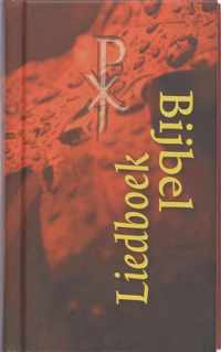 Bijbelliedboek Youth