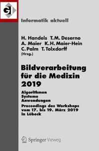 Bildverarbeitung Fur Die Medizin 2019