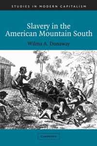 Slavery in the American Mountain South