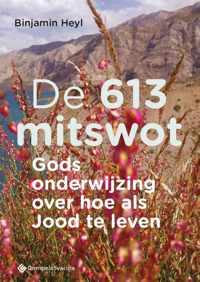 De 613 mitswot