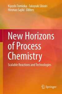 New Horizons of Process Chemistry