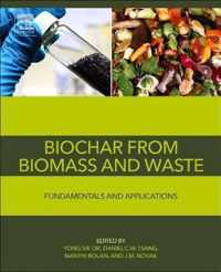 Biochar from Biomass and Waste