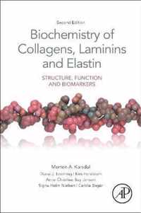 Biochemistry of Collagens, Laminins and Elastin