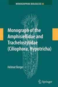 Monograph of the Amphisiellidae and Trachelostylidae (Ciliophora, Hypotricha)