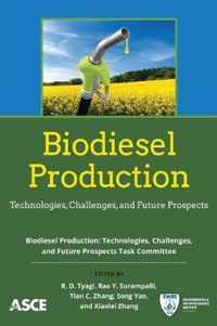 Biodiesel Production