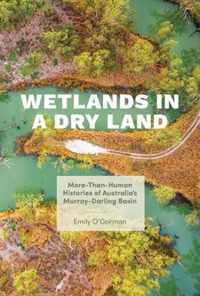 Wetlands in a Dry Land