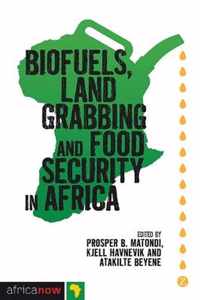 Biofuels, Land Grabbing and Food Security in Africa