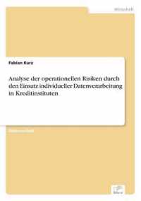 Analyse der operationellen Risiken durch den Einsatz individueller Datenverarbeitung in Kreditinstituten