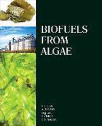 Biofuels from Algae