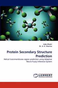 Protein Secondary Structure Prediction