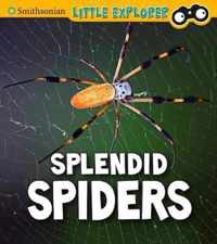 Splendid Spiders