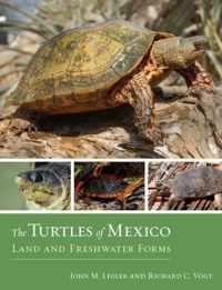 The Turtles of Mexico