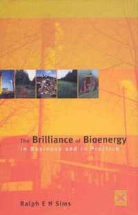 The Brilliance of Bioenergy