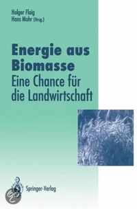 Energie Aus Biomasse