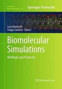 Biomolecular Simulations